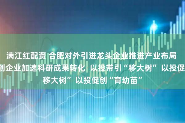满江红配资 合肥对外引进龙头企业推进产业布局 对内培育科创企业加速科研成果转化  以投带引“移大树” 以投促创“育幼苗”