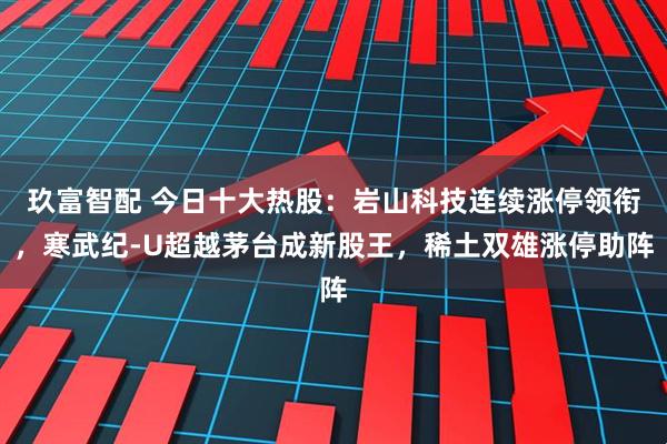 玖富智配 今日十大热股：岩山科技连续涨停领衔，寒武纪-U超越茅台成新股王，稀土双雄涨停助阵
