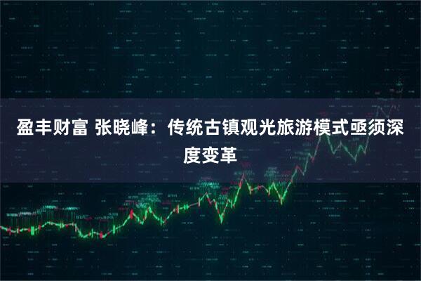 盈丰财富 张晓峰：传统古镇观光旅游模式亟须深度变革
